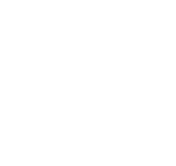 Nexivo logo